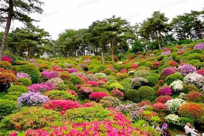 七月南川新景 蔬菜種植新去處，休閑農(nóng)業(yè)新體驗